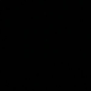 Meet your Posher, Steals